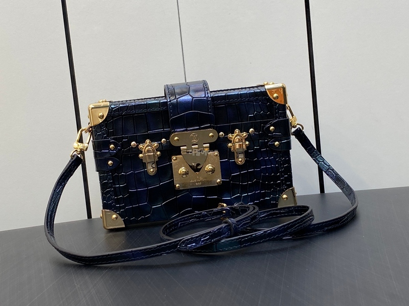 LOUIS VUITTON-루이비통 N81604 쁘띠 말레 가방